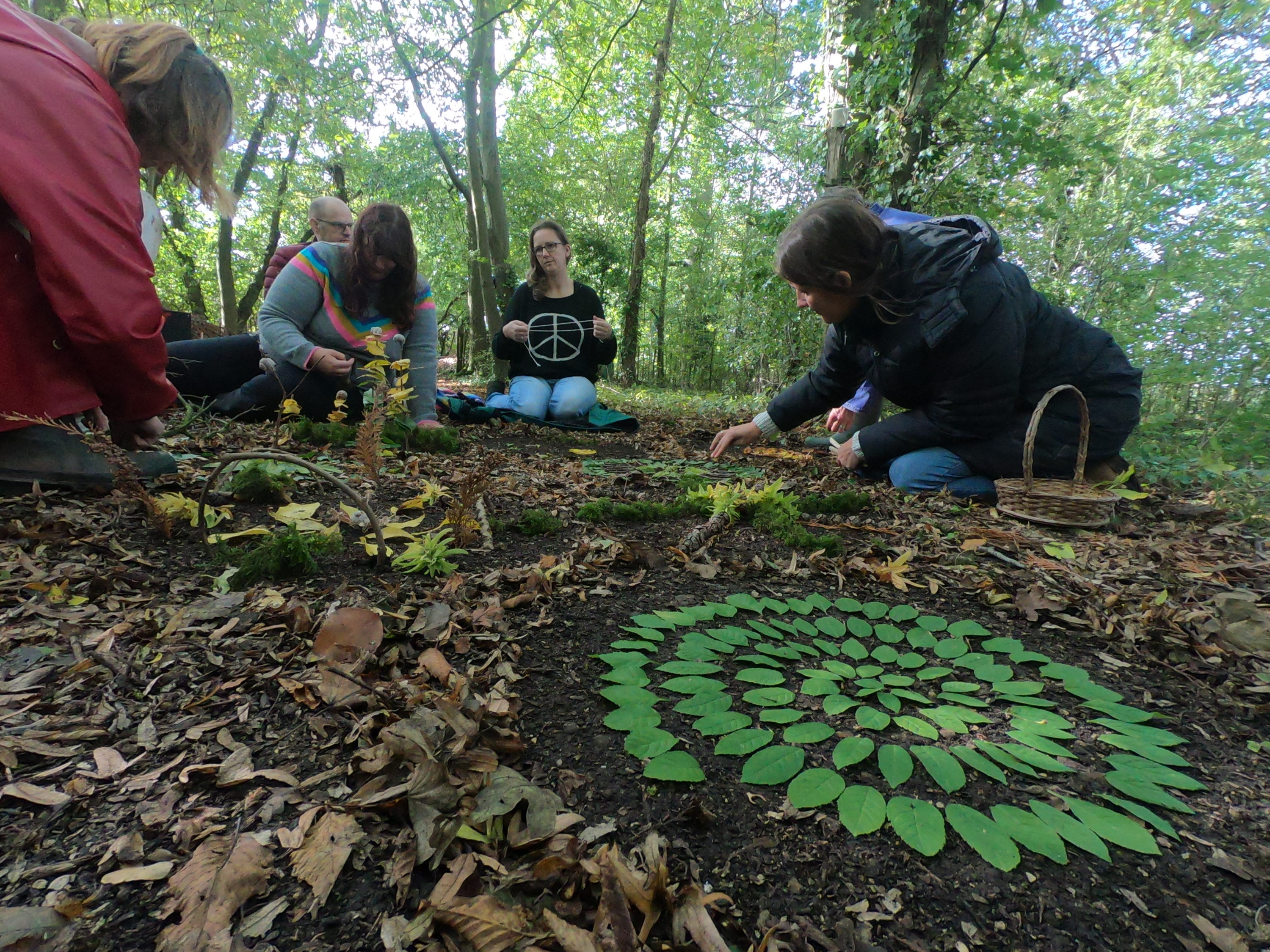 Woodland well being project participants in Drayton woods