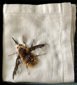 Vintage fabric with hand stitched Bee Fly by Lydia Needle